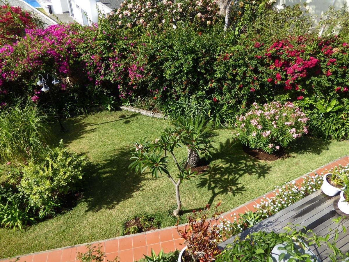 Villa Erika Madeira Canico  Ngoại thất bức ảnh